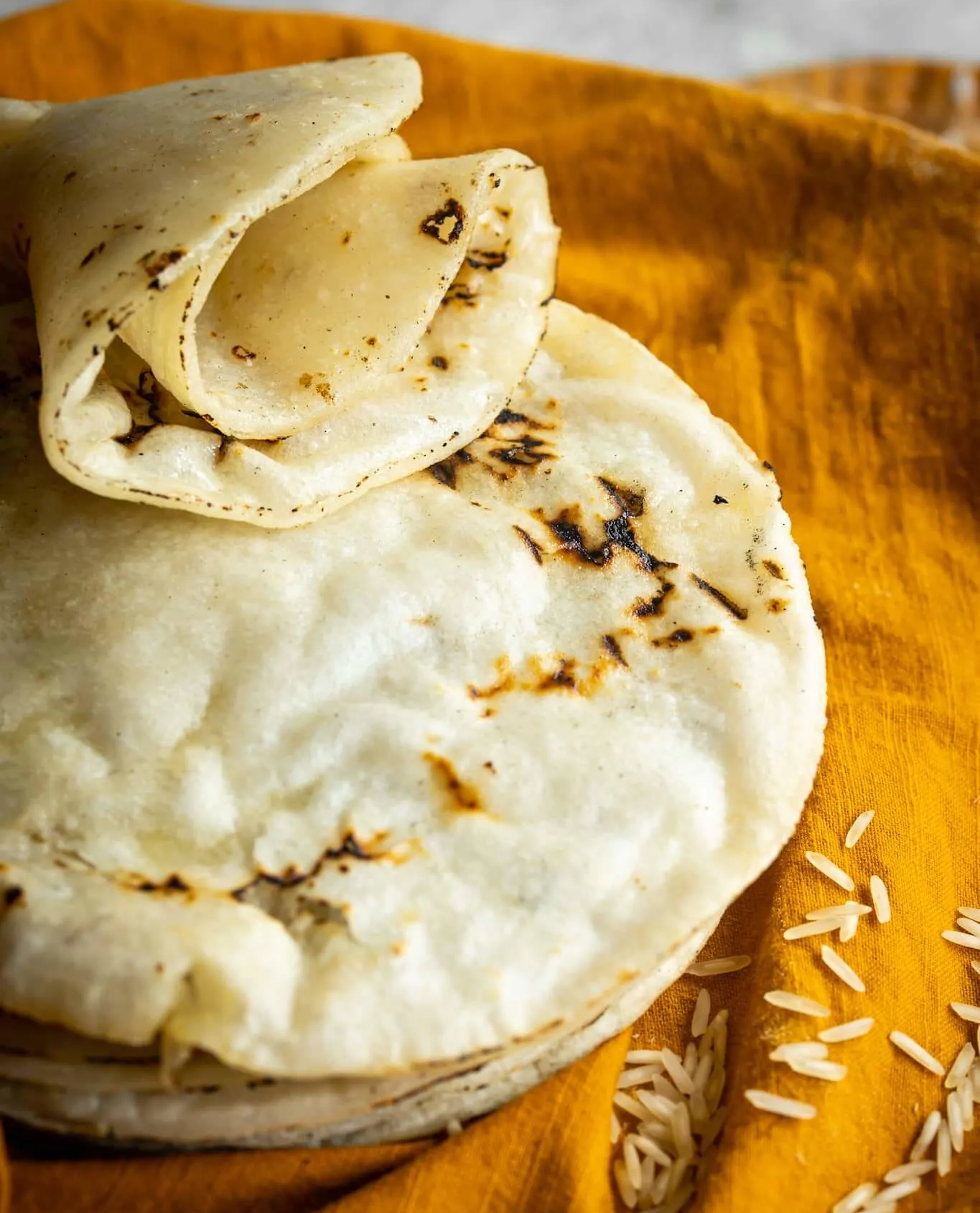 Gluten Free Roti